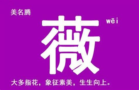 薇名字|薇字取名女孩,带薇字有寓意的女孩名字大全,含薇字好。